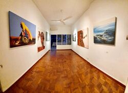 Evergreen Garden (D16), Terrace #498644081